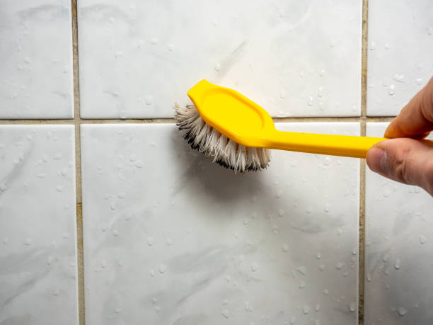 Best Commercial Mold Remediation in Dowagiac, MI