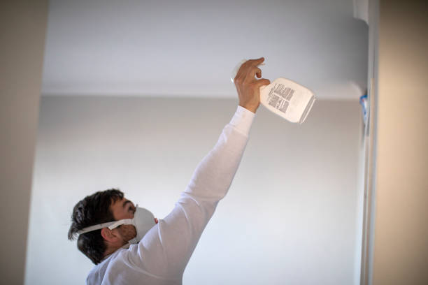 Best Insurance-Related Mold Remediation in Dowagiac, MI