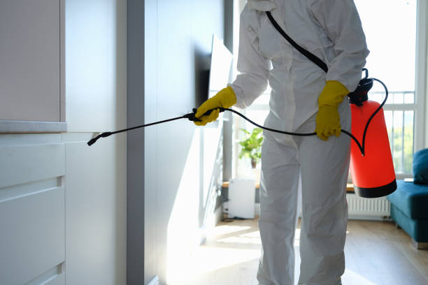 Best Mold Testing and Inspection Services in Dowagiac, MI