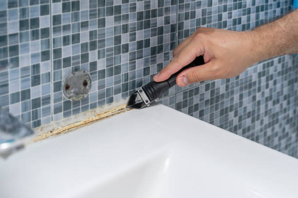 Best Kitchen Mold Remediation in Dowagiac, MI